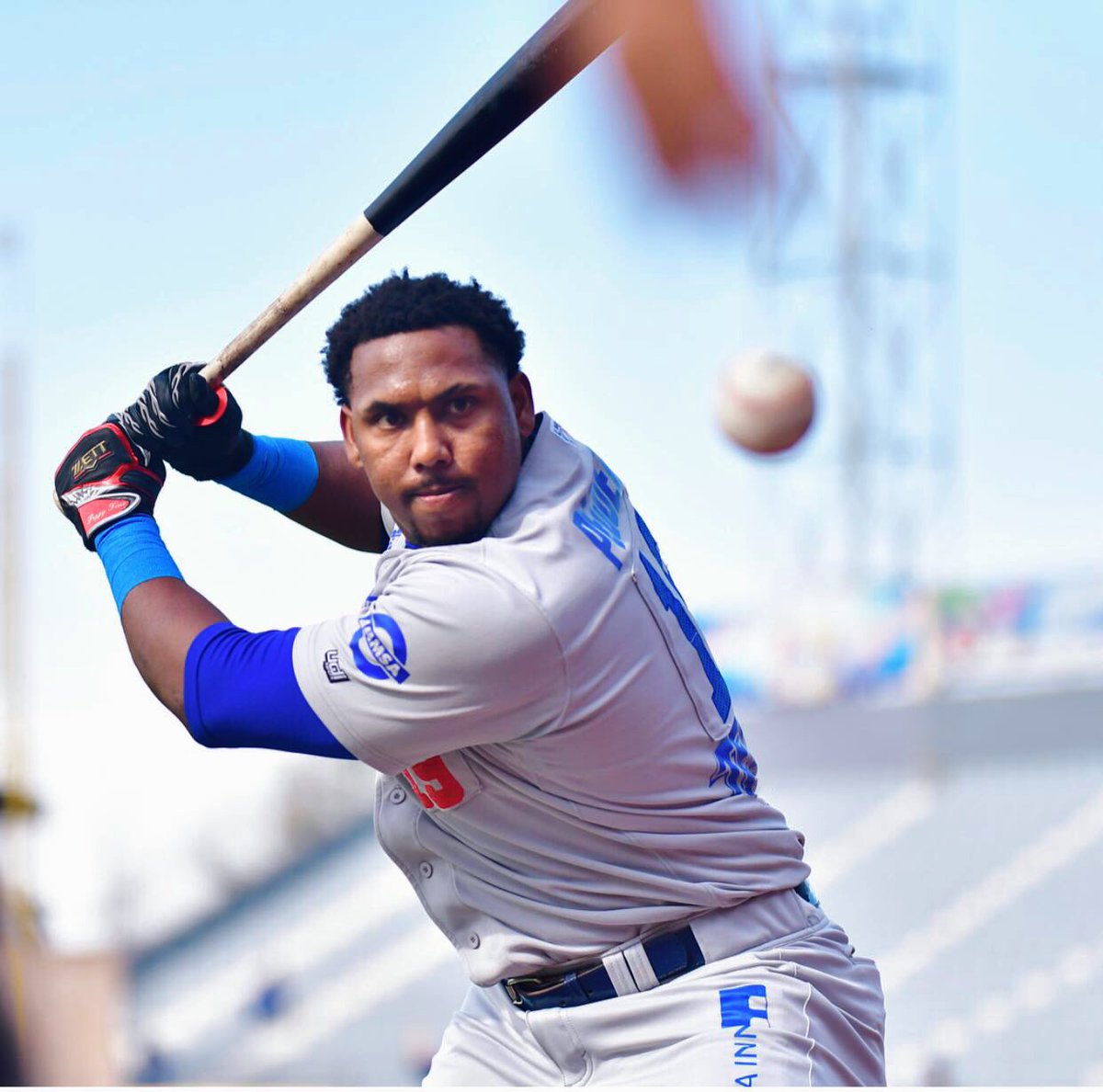 Peguero en Top 10 jardineros de la década en México Momento Deportivo RD